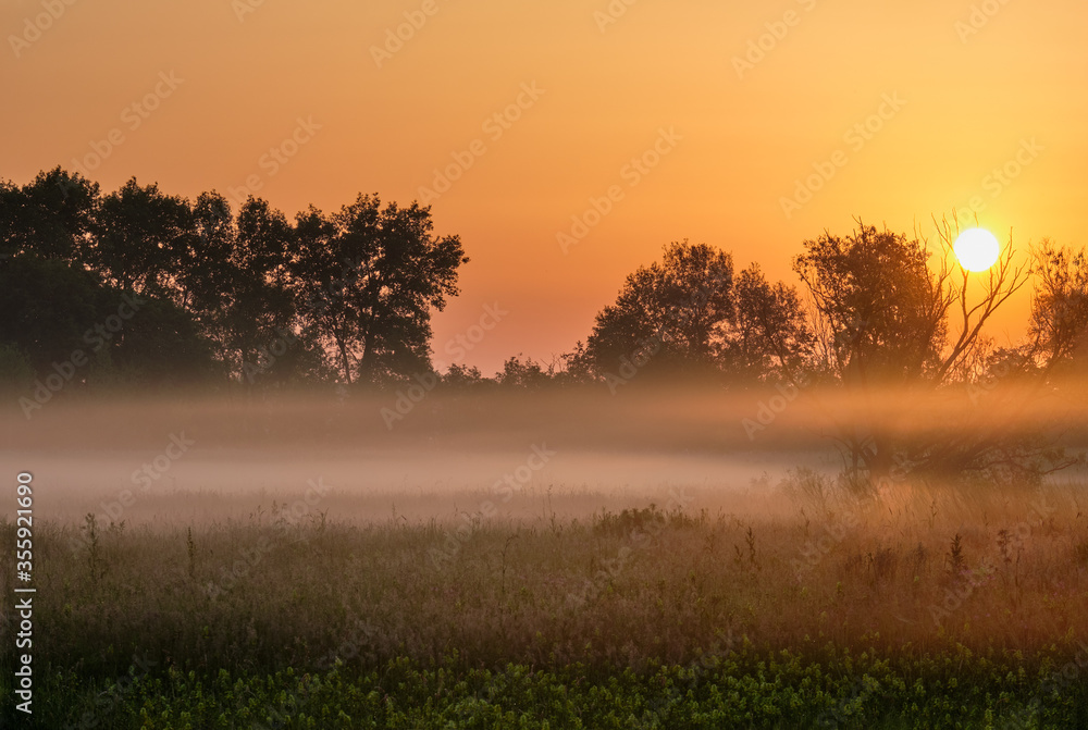 Fototapeta premium misty morning sunrise