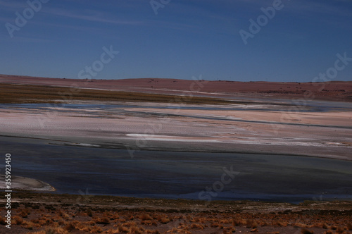 Salar DeTara Desieto de Atacama Chile Sudamerica Sanpedro de Atacama photo