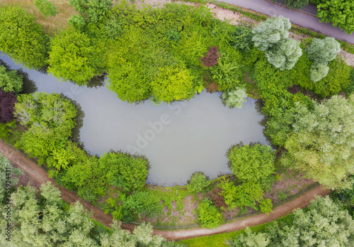Top Down View of a Pond in a Nature Reserve