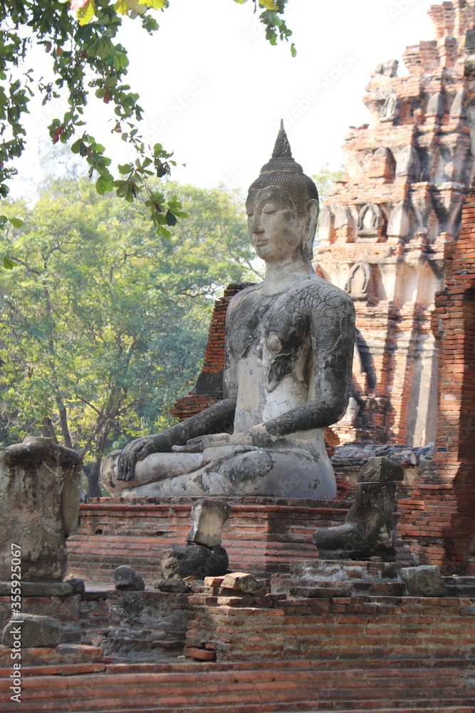 Fototapeta premium Bouddha à Ayutthaya, Thaïlande