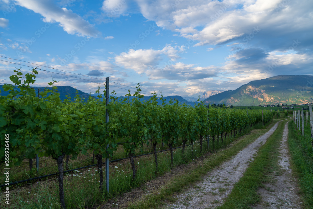 A view of the beautiful Appiano in Italian South Tyrol