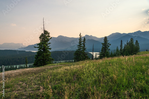 nature scenarios inside Jasper National Park, Alberta, Canada