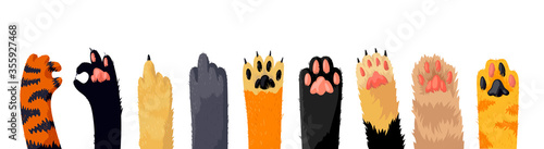 Cat Paws Row, Collection of Various Cute Kitten Legs, Domestic Animal Foot Isolated on White Background. Different Funny Pet Paws with Claws, Graphic Design Elements. Cartoon Vector Illustration, Set
