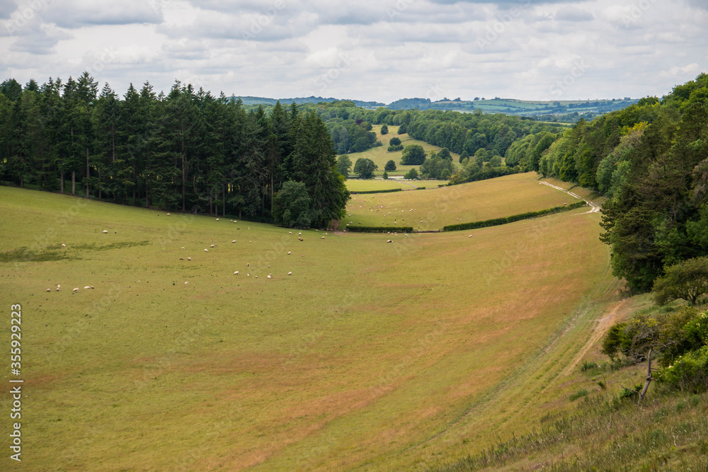 Φωτογραφία Landscape photo of the rolling fields and countryside of the Fonthill estate in Wiltshire near Hindon and Tisbury