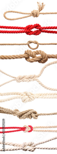 Different ropes on white background