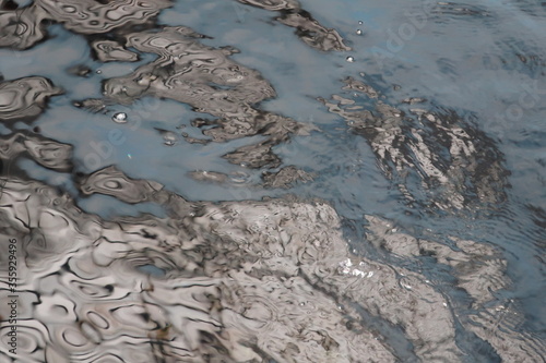 Water ripples as an otter swims around