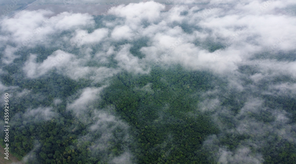 Clouds over the dense forest, morning mist rises over the forest.