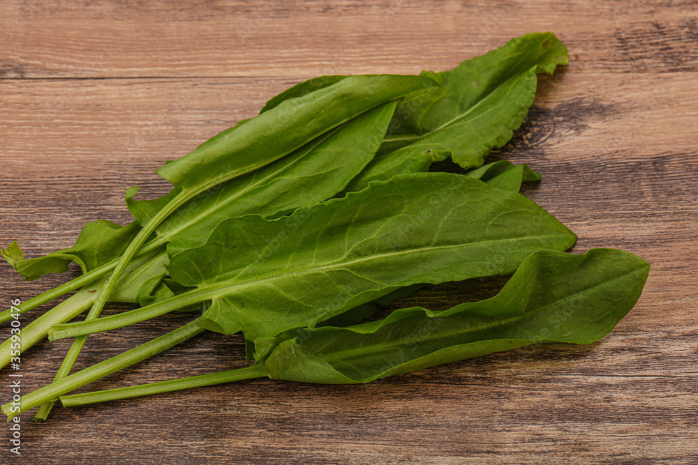Aroma Fresh green sorrel heap