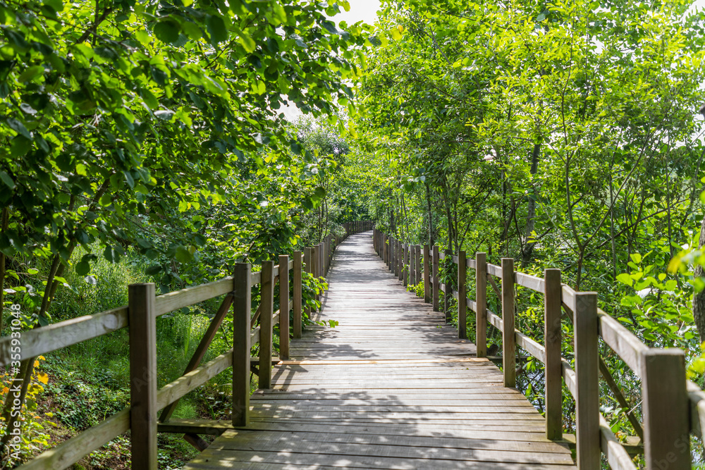 Acarlar Flood plain Forest (Turkish: Acarlar Golu Longozu) is a floodplain forest located in Sakarya Province, Turkey. Acarlar Flood plain Forest (Turkish: Acarlar Golu Longozu) is a floodplain forest located in Sakarya Province, Turkey.