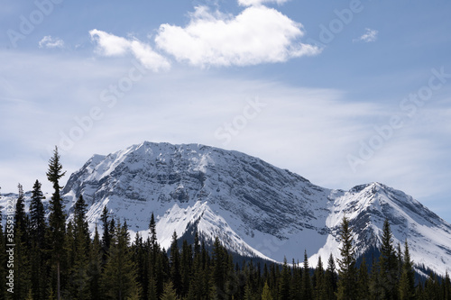 Snowy mountain with blue sky and forest in foreground, shot at Kananaskis, Alberta, Canada