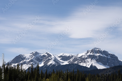 Snowy mountain range with blue sky and forest in foreground, shot at Kananaskis, Alberta, Canada