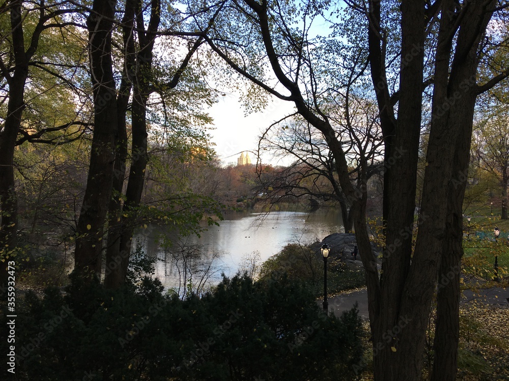 Obraz premium Pond in the park