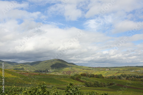 Canvas Print Vineyard rhine valley palatine nice weather bule sky beautiful colors