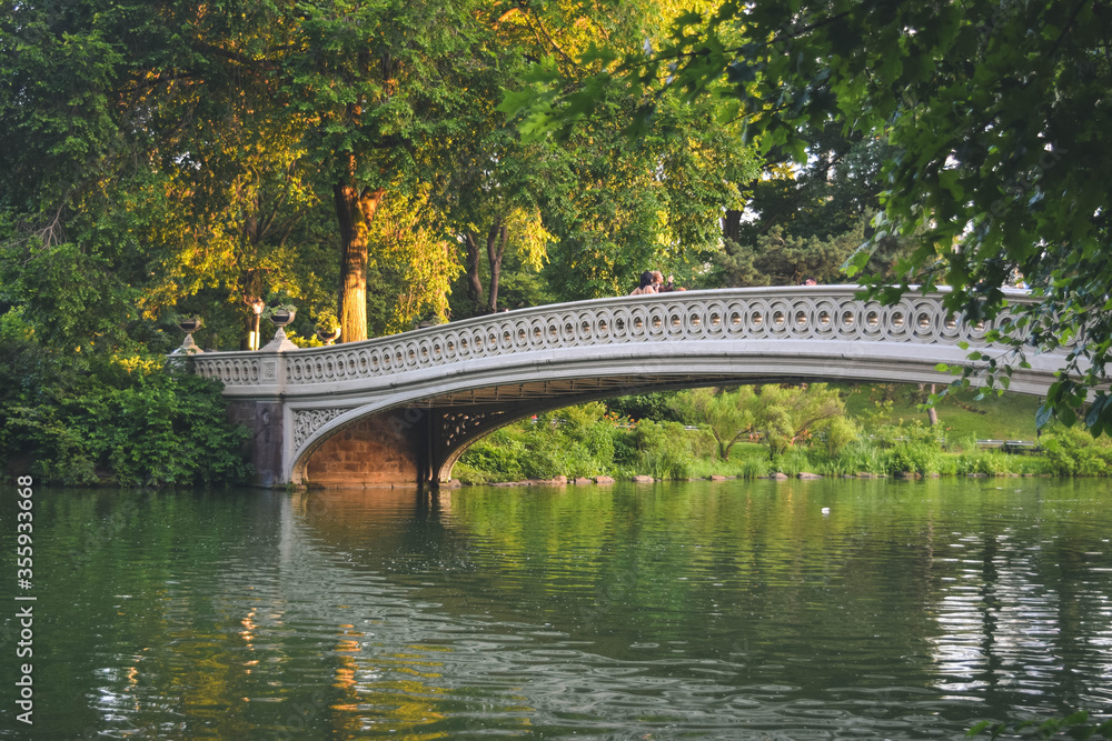 bridge in the park bridge in the park