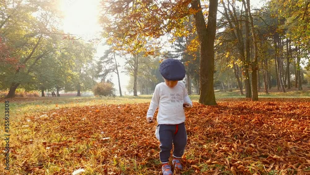 Adorable Two Year Old Boy in Nature in Autumn. Child Walking in Fallen Leaves Adorable Two Year Old Boy in Nature in Autumn. Child Walking in Fallen Leaves