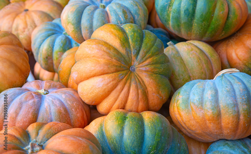 Colorful pumpkins Colorful pumpkins