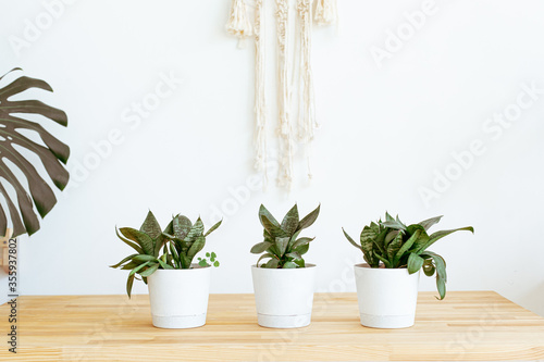 Vintage boho set with dried flowers on white wall background. Lifestyle Interior design wall. Beige still life composition