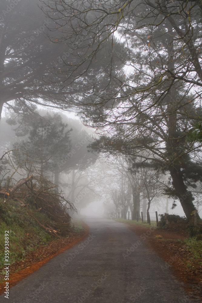 Naklejka premium Camino de Santiago The Pilgrimage Routes to Santiago de Compostela