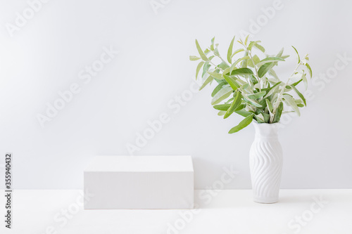 Empty white box and branches with green leaves in a vase on a light background. Mockup banner for display of advertise product