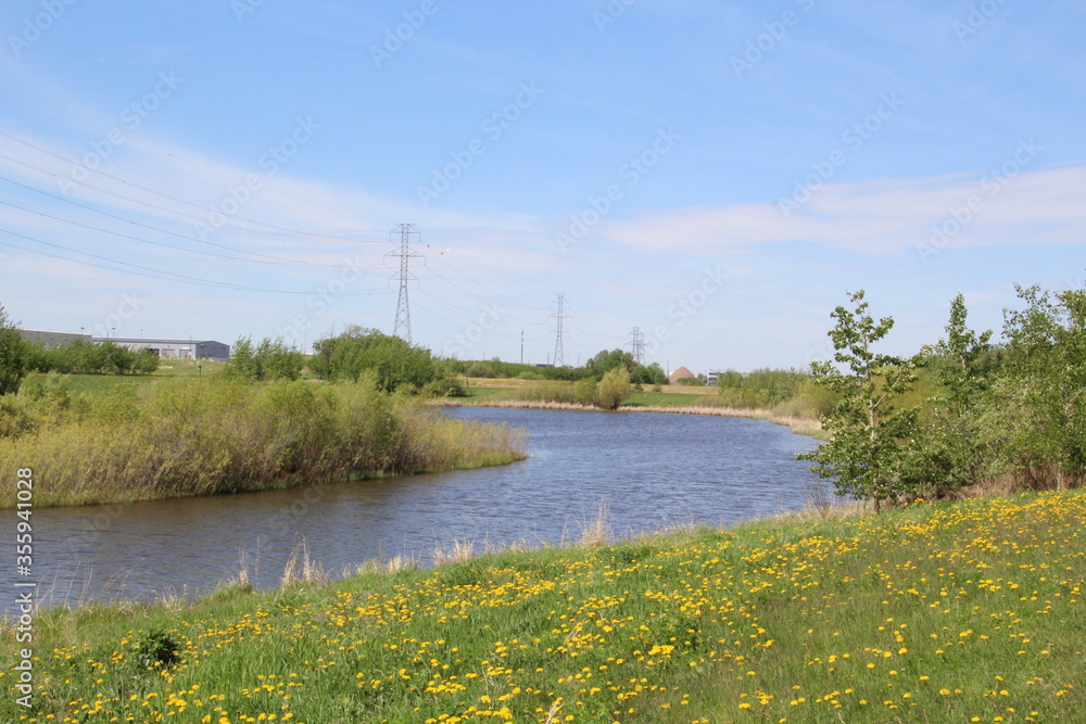Obraz premium View Of The Lake, Pylypow Wetlands, Edmonton, Alberta