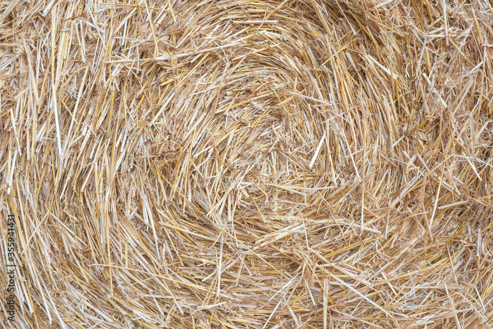 Haystacks close up. The texture of the straw. Haystacks close up. The texture of the straw.
