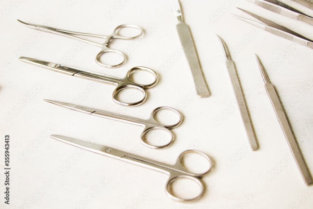 Fototapeta premium Dissection Kit - Premium Quality Stainless Steel Tools for Medical Students of Anatomy, Biology, Veterinary, Marine Biology