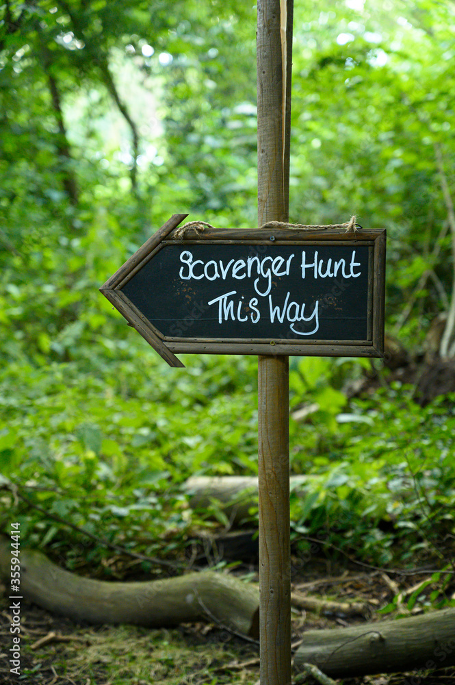 Scavenger hunt this way signpost in lush forest woodland