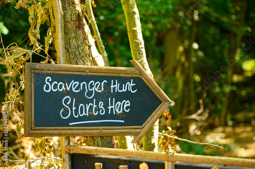 Scavenger hunt this way signpost in lush forest woodland photo