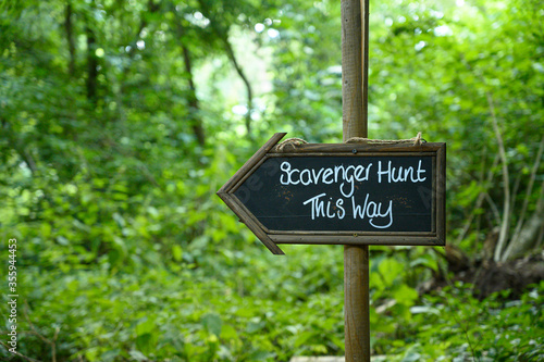 Scavenger hunt this way signpost in lush forest woodland