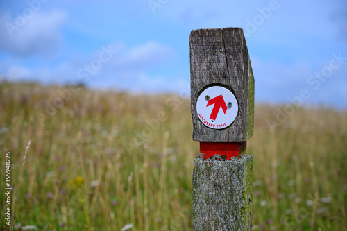 Direction arrow sign set in british countryside field with green grass and blue sky