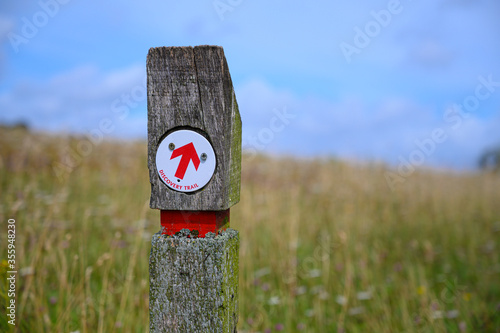 Direction arrow sign set in british countryside field with green grass and blue sky