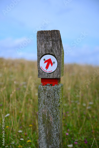 Direction arrow sign set in british countryside field with green grass and blue sky