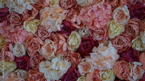 Different colours of the roses