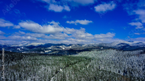 Carpathian mountains mountain range pine forests coniferous mountain tops winter snow aerial photography