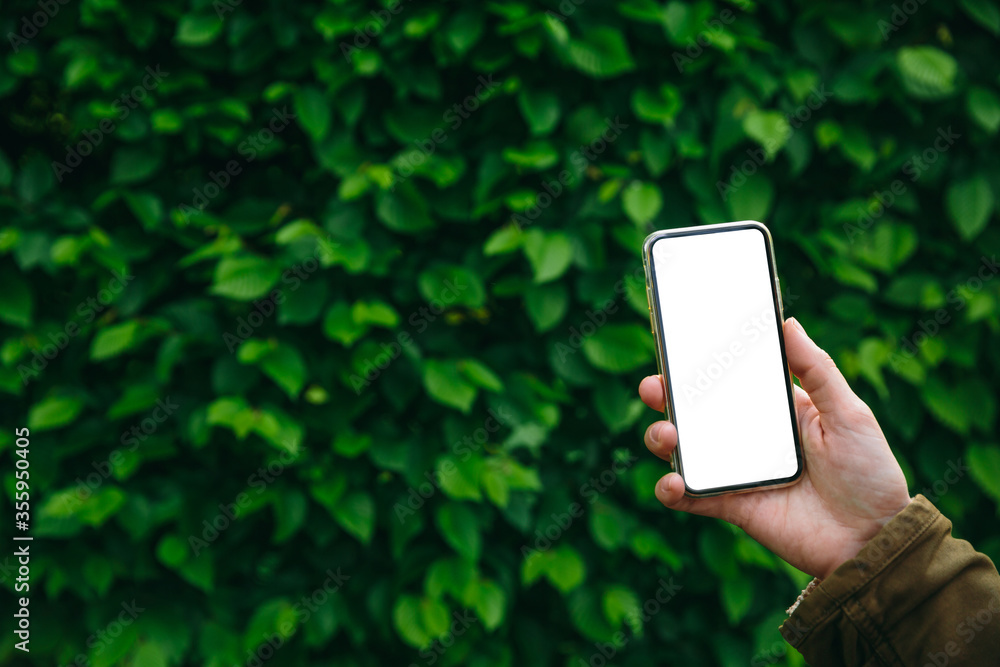 Female hand holding white screen smartphone on green foliage background Female hand holding white screen smartphone on green foliage background