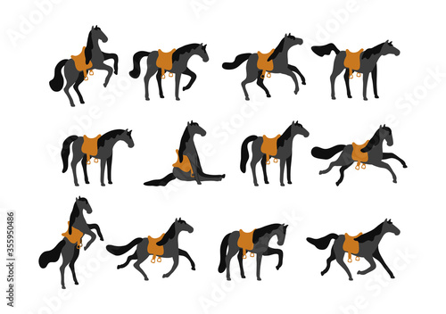 Set of vector horses isolated on white background. A collection of purebred thoroughbred horses in a flat modern style.