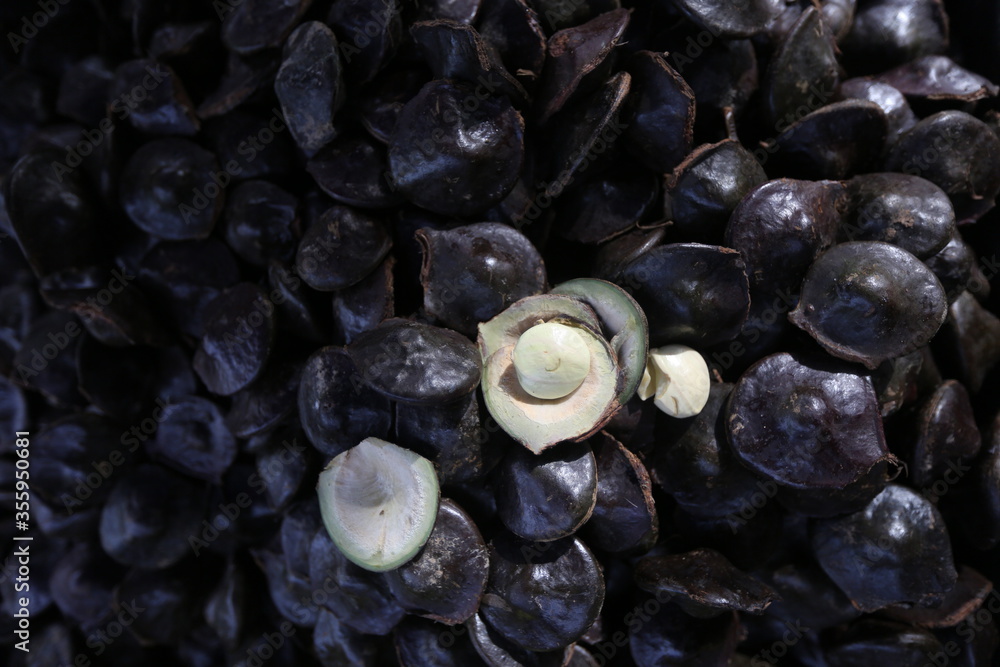 Fresh Archidendron Pauciflorum (jengkol,jering) Jengkol is one of favorite Indonesian and Malaysian vegetables. Fresh Archidendron Pauciflorum (jengkol,jering) Jengkol is one of favorite Indonesian and Malaysian vegetables.