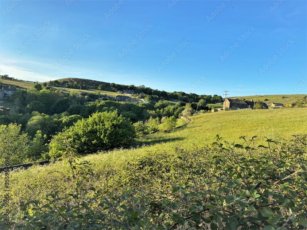 Country landscape with trees and meadows in, Thornton, Bradford, UK