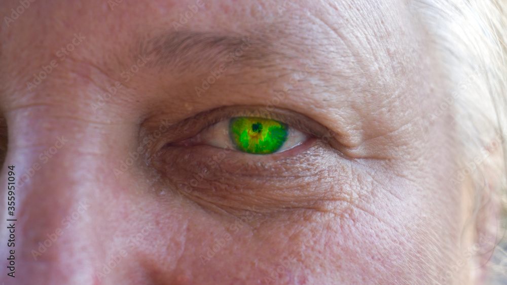 Fototapeta premium Closeup of a middle aged woman's beautiful green eyes. Macro shot of a bright green eye looking at the camera. Close up of a portrait. Vision of future. Healthy life concept view. Straight to target.
