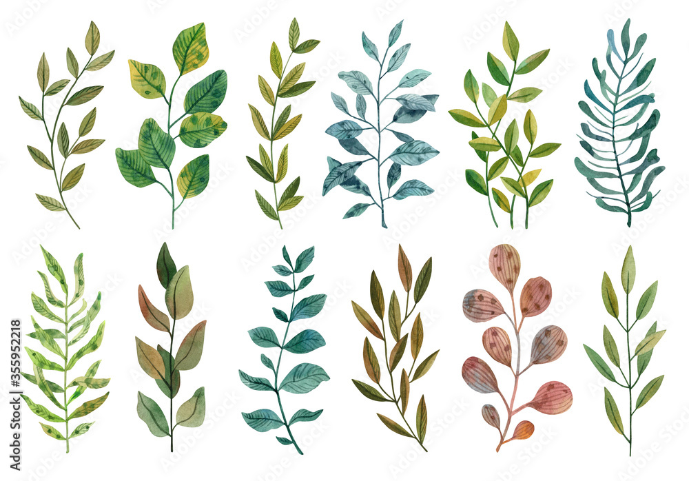 Naklejka premium Watercolor set of branches. Perfect for invitations, greeting cards, posters and others purposes. Watercolor set of branches. Perfect for invitations, greeting cards, posters and others purposes.