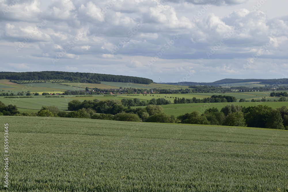 Fototapeta premium Landschaft bei Gronau mit Brücke bei Dankelsheim