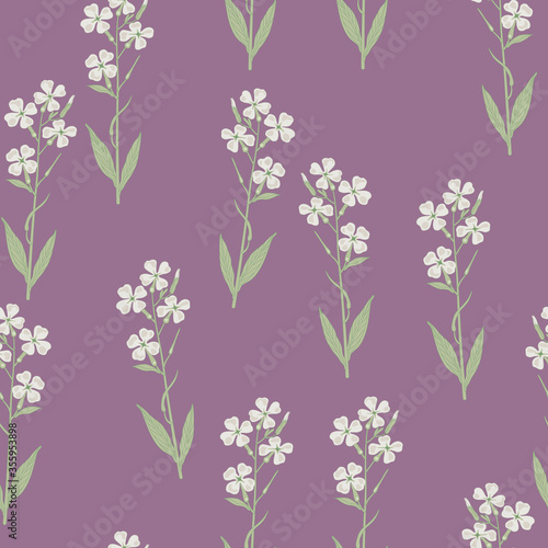 Seamless floral pattern with branches of white flowers. Hesperis Alba. Dame's Rocket. Sweet Rocket.