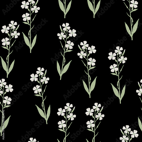 eamless floral pattern with branches of white flowers. Hesperis Alba. Dame's Rocket. Sweet Rocket.