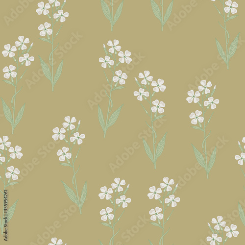Seamless floral pattern with branches of white flowers. Hesperis Alba. Dame's Rocket. Sweet Rocket.