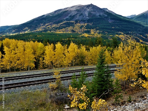 fall across the track in the mountains