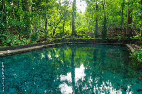 El Ojo de Agua is natural spring pool on Ometepe Island in Nicaragua.