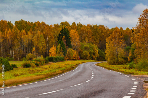 road in autumn forest © Orion
