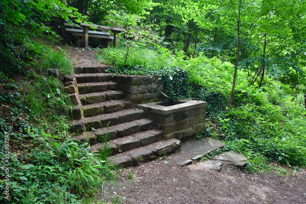 stairs and fountain on German hiking trail