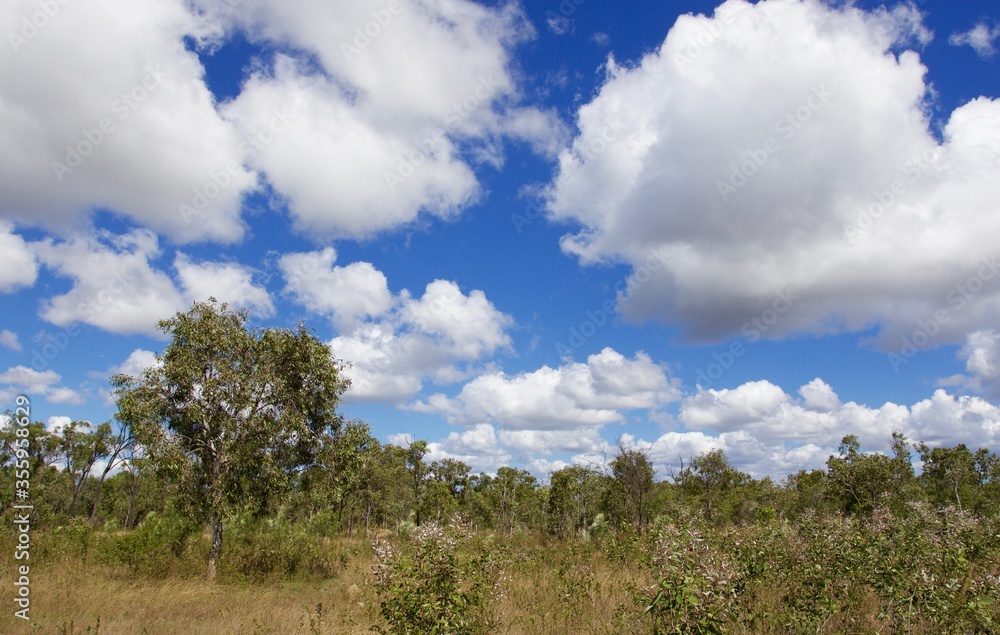 sky and clouds panorama