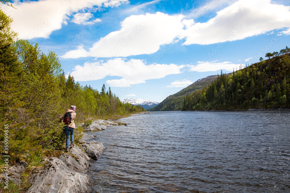 On the banks of the river in Velfjord wild nature, Northern Norway